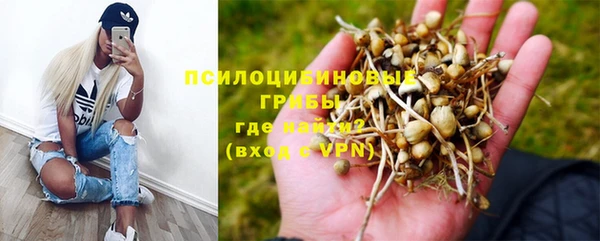 марки nbome Белокуриха